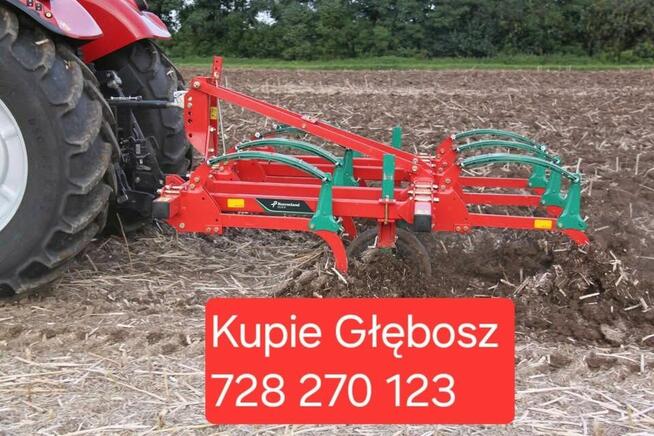 kupie glebosz od 3 do 5 łap