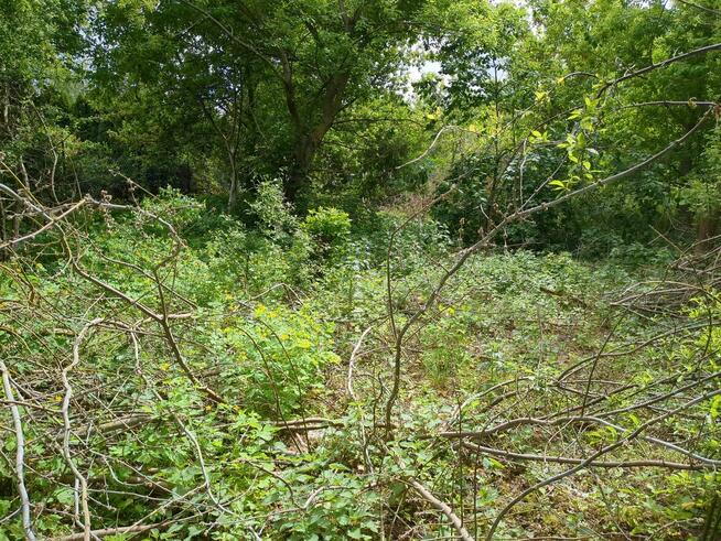 Nieruchomość gruntowa od syndyka - Nowy Modlin 89/4 , 89/6