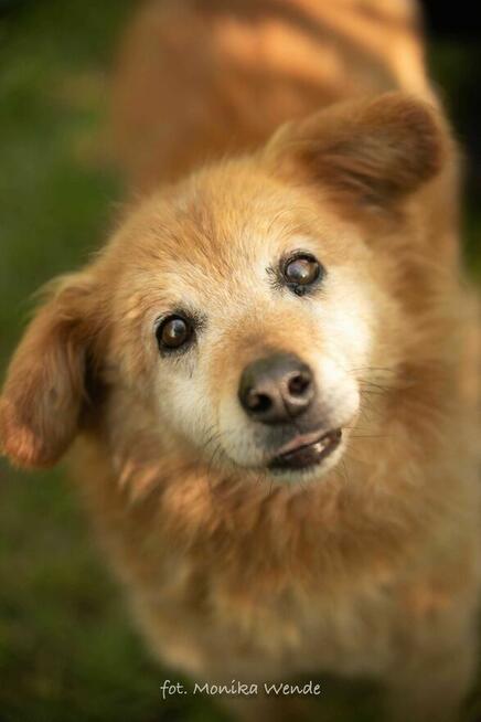 Danio szuka prawdziwej miłości