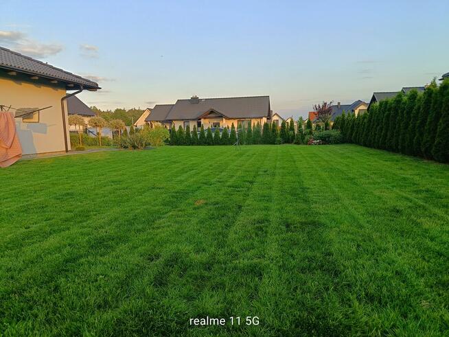 Usługi Ogrodnicze Słupsk i okolice