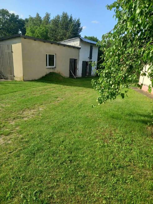 Dom z dużą działką, aż 11791m2, z własnym lasem