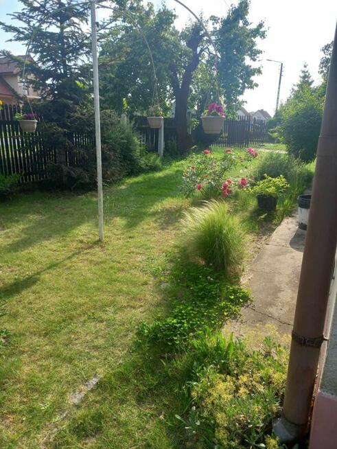 Dom z dużą działką, aż 11791m2, z własnym lasem