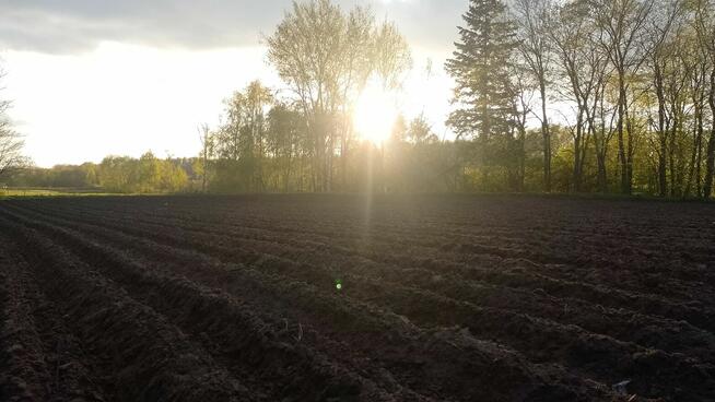 Działka inwestycyjna 6100 m² – WZ na 6 domów – Semlin, gm. Z