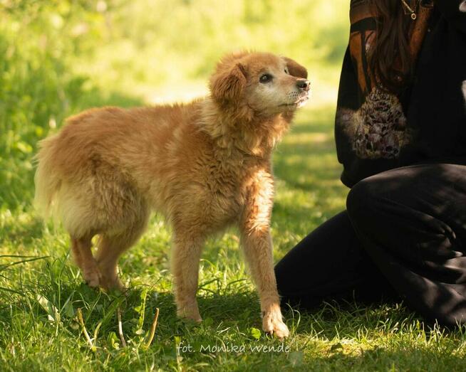 Danio szuka prawdziwej miłości