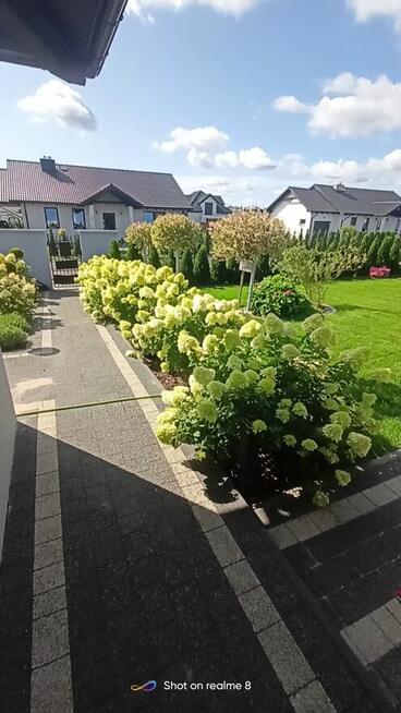 Usługi Ogrodnicze Słupsk i okolice