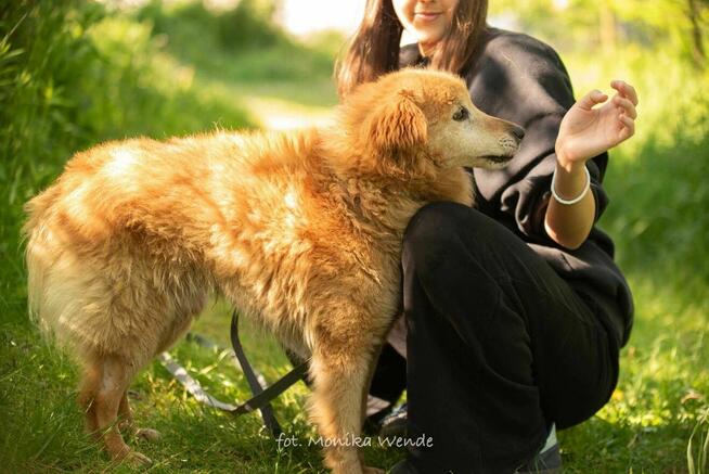 Danio szuka prawdziwej miłości