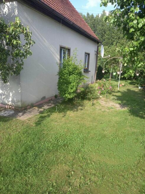 Dom z dużą działką, aż 11791m2, z własnym lasem