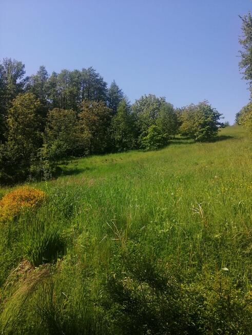 Sprzedam działkę