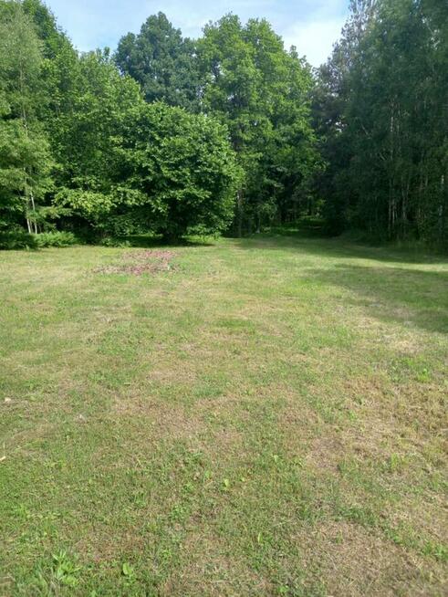 Dom z dużą działką, aż 11791m2, z własnym lasem