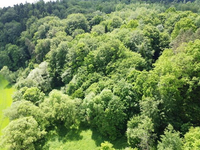 Działka rolno - leśna nad rzeką na Pogórzu Dynowskim