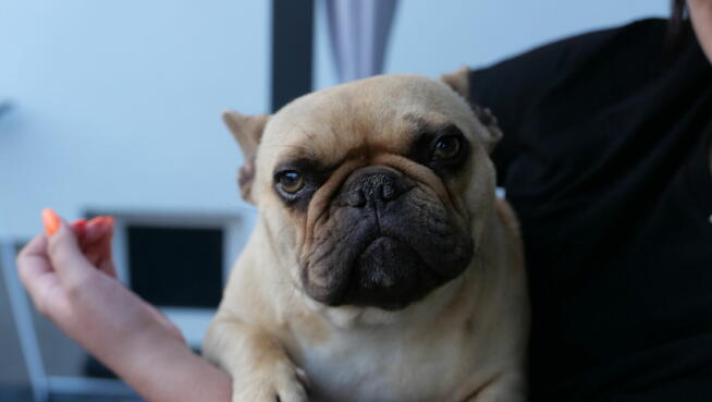 Usługi fotografii i filmowania/ nieruchomości, eventy itp.