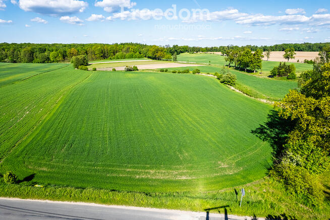 Działka na sprzedaż Ząbrowo