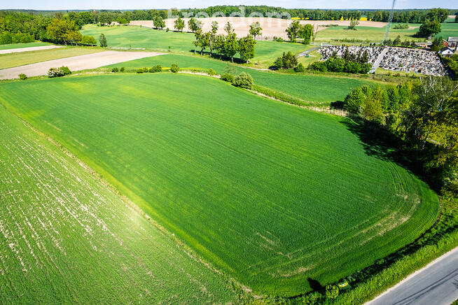 Działka na sprzedaż Ząbrowo