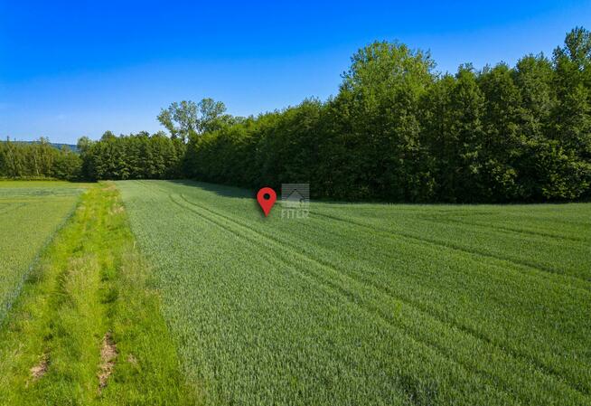 Działka budowlana Zdonia gm. Zakliczyn
