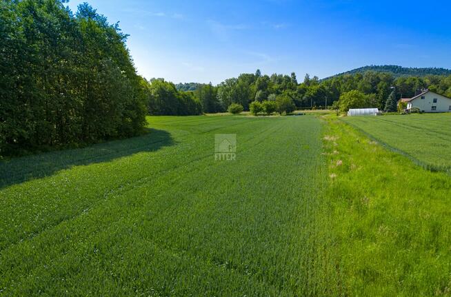 Działka budowlana Zdonia gm. Zakliczyn