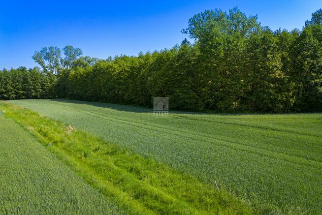 Działka budowlana Zdonia gm. Zakliczyn