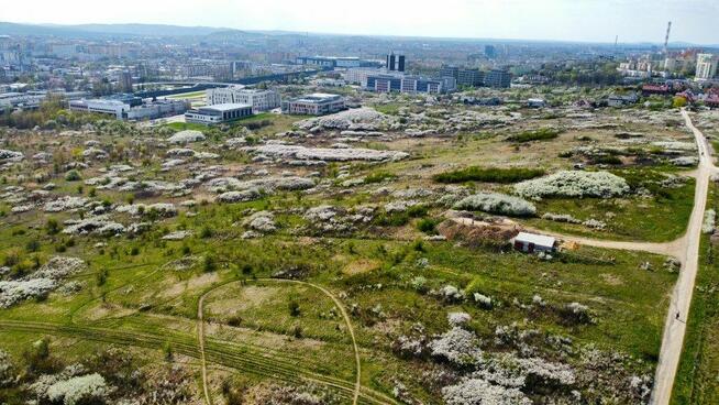 Działka Kielce Nowy Folwark