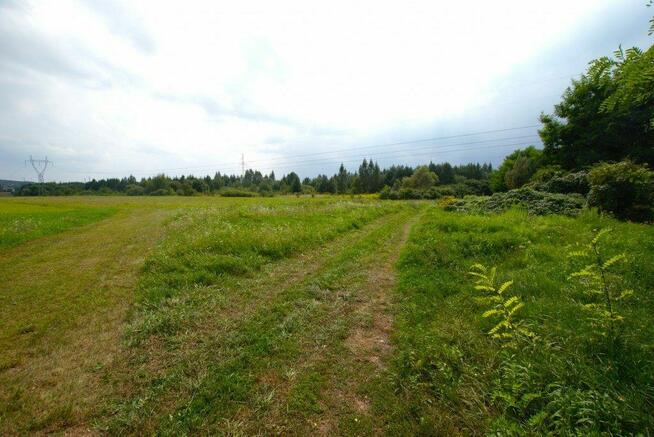 Działka Kostomłoty Pierwsze gm. Miedziana Góra