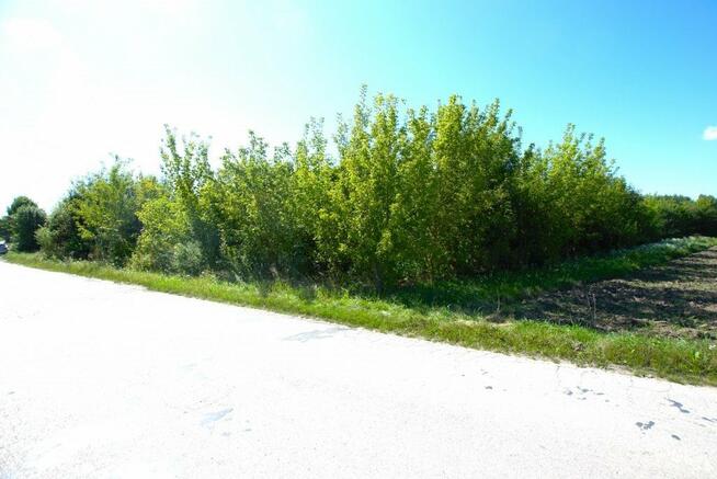 Działka Chęciny Łukowa