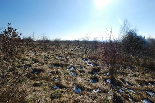 Działka budowlana Mąchocice Kapitulne gm. Masłów