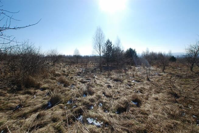 Działka budowlana Mąchocice Kapitulne gm. Masłów