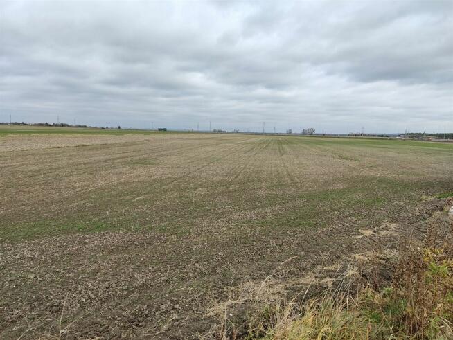 Działka Włoszczowa Ewina