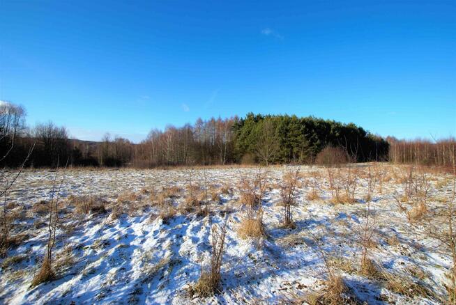Działka rekreacyjna Ćmińsk Kościelny gm. Miedziana Góra