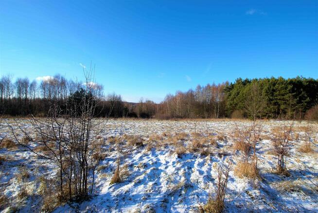 Działka rekreacyjna Ćmińsk Kościelny gm. Miedziana Góra