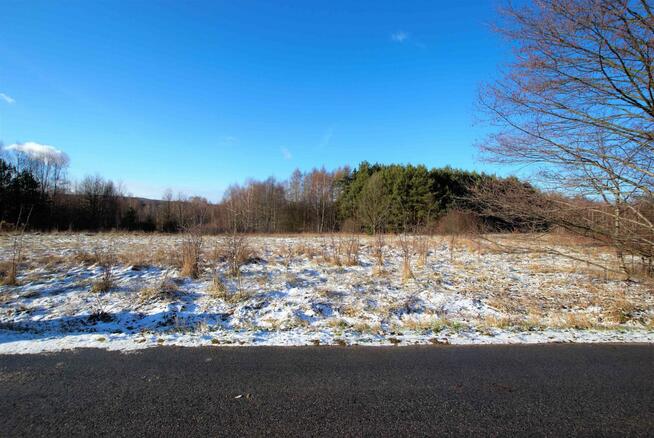 Działka rekreacyjna Ćmińsk Kościelny gm. Miedziana Góra