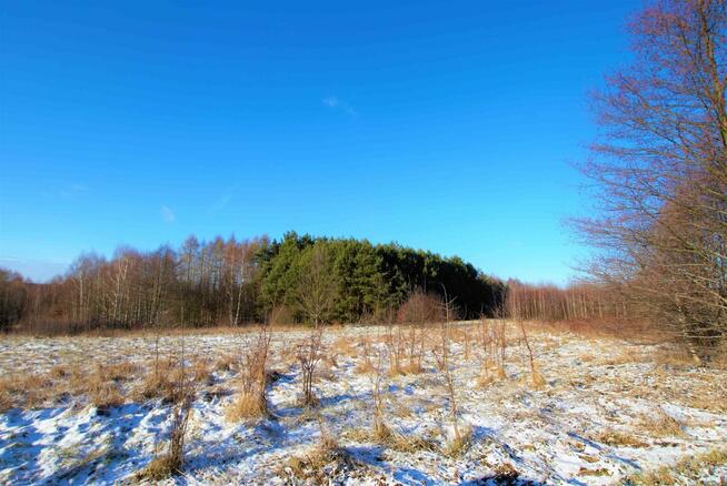 Działka rekreacyjna Ćmińsk Kościelny gm. Miedziana Góra