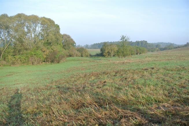 Działka usługowa Sobków