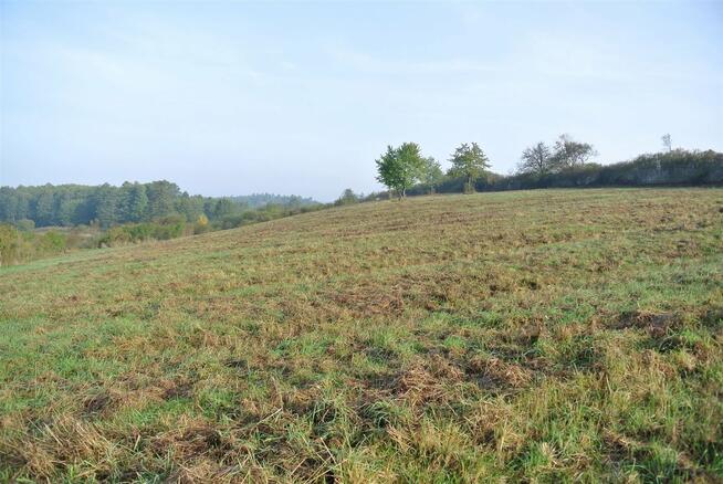 Działka usługowa Sobków