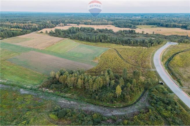 Działka komercyjna w Podborzu k. Mielca - 5,5 HA
