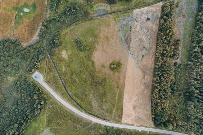 Działka komercyjna w Podborzu k. Mielca - 1,56 HA