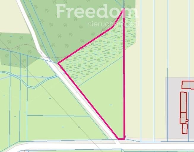 Duża działka przy lesie 25 minut od Garwolina