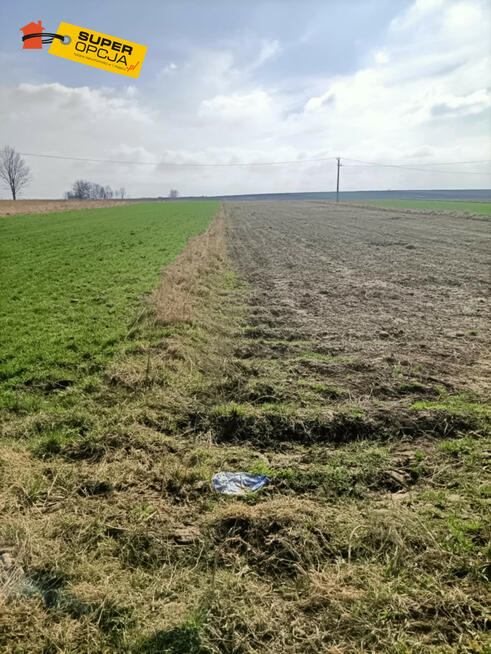 Działka budowlana Jangrot gm. Trzyciąż,