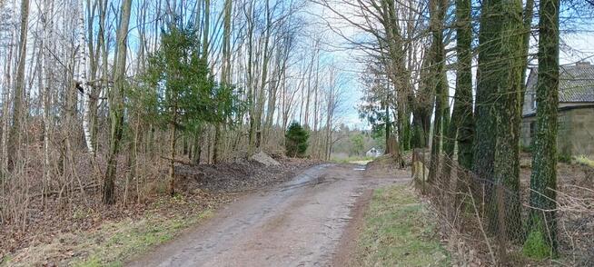 Działka siedliskowa Donimierz gm. Szemud, Piekiełko