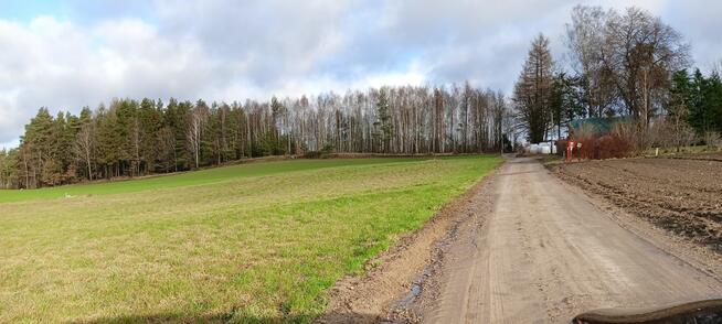 Działka siedliskowa Donimierz gm. Szemud, Piekiełko