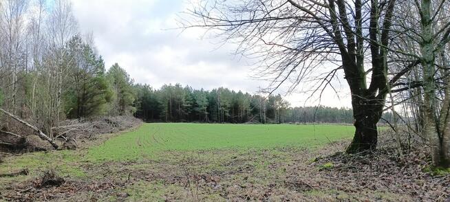 Działka siedliskowa Donimierz gm. Szemud, Piekiełko