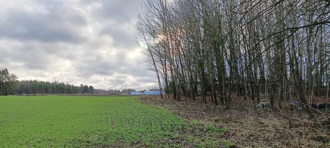 Działka siedliskowa Donimierz gm. Szemud, Piekiełko