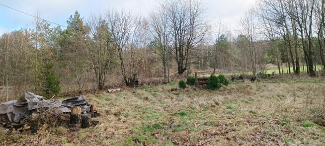 Działka siedliskowa Donimierz gm. Szemud, Piekiełko