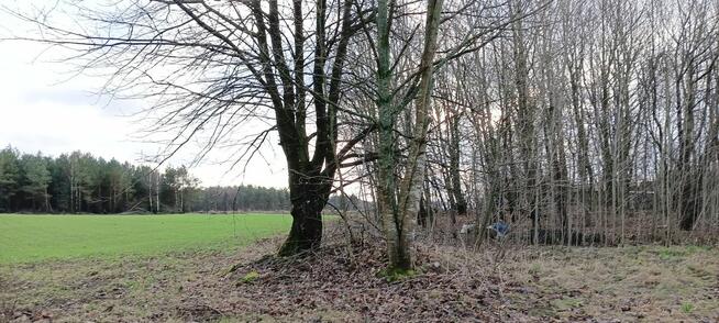 Działka siedliskowa Donimierz gm. Szemud, Piekiełko