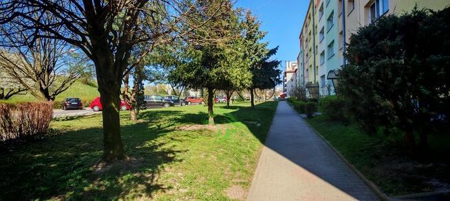 15 złotych za parking