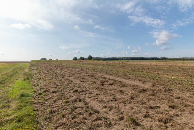 Działka budowlana Sieraków Śląski gm. Ciasna, Osiedlowa
