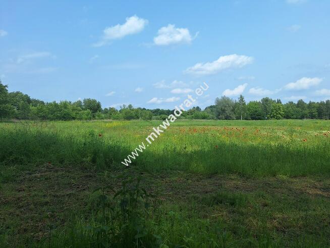Wyjątkowa działka, wyjątkowa okolica MPZP