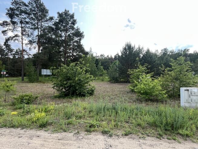 Działka w sąsiedztwie lasu Górsk/Czarne Błoto
