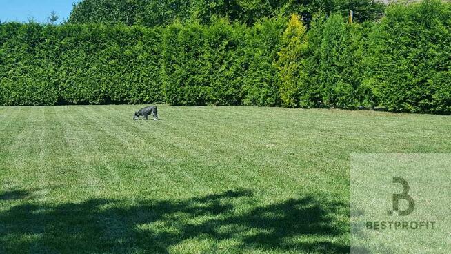 Dom Kobylnica, Główna