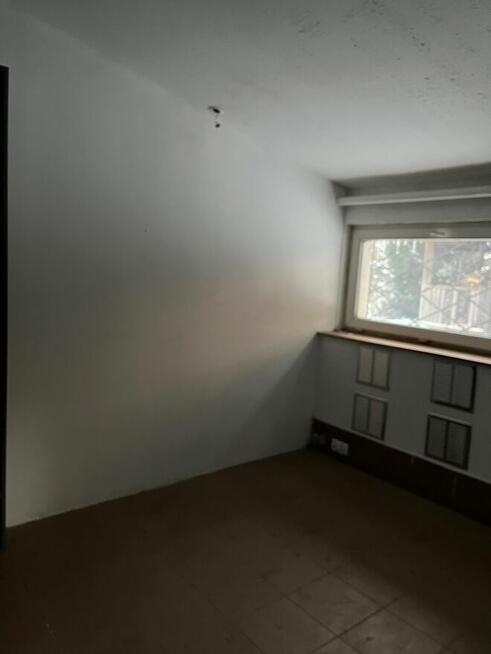 Wynajmę halę 300 + 100m2