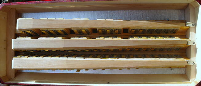 Sprzedam akordeon Włoski ROSSINI