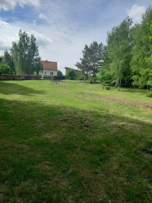 Dom z dużą działką, aż 11791m2, z własnym lasem